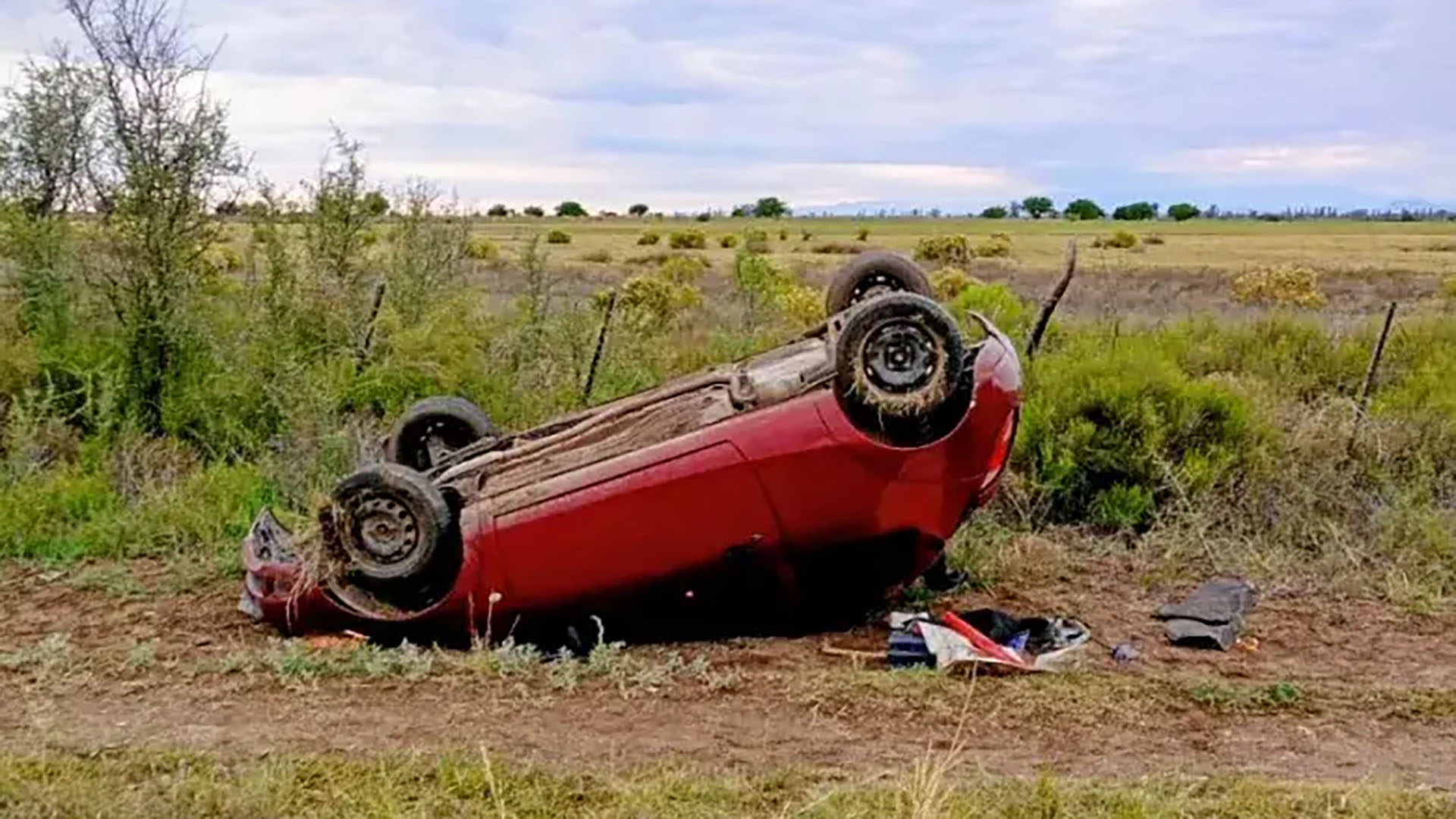 Exportación de carne a EEUU: Milei agradeció a Trump el aumento de la cuota argentina, pero hay obstáculos legales a superar