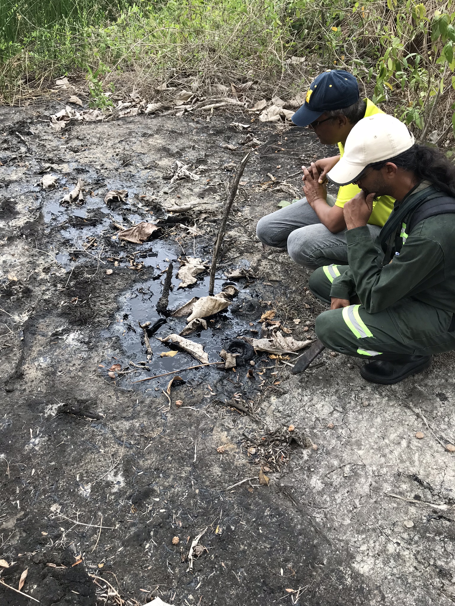 Científicos denunciaron en mayo que falta de participación local en la investigación y en la extracción de especímenes en los ecosistemas de islas del Mar Caribe/Alexis Mychajliw.