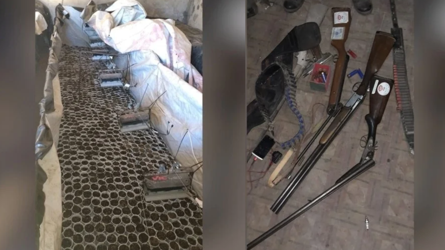 La recorrida de Franco Colapinto por la “casa del árbol” de Alpine: del detalle con los neumáticos a la broma con Mercedes