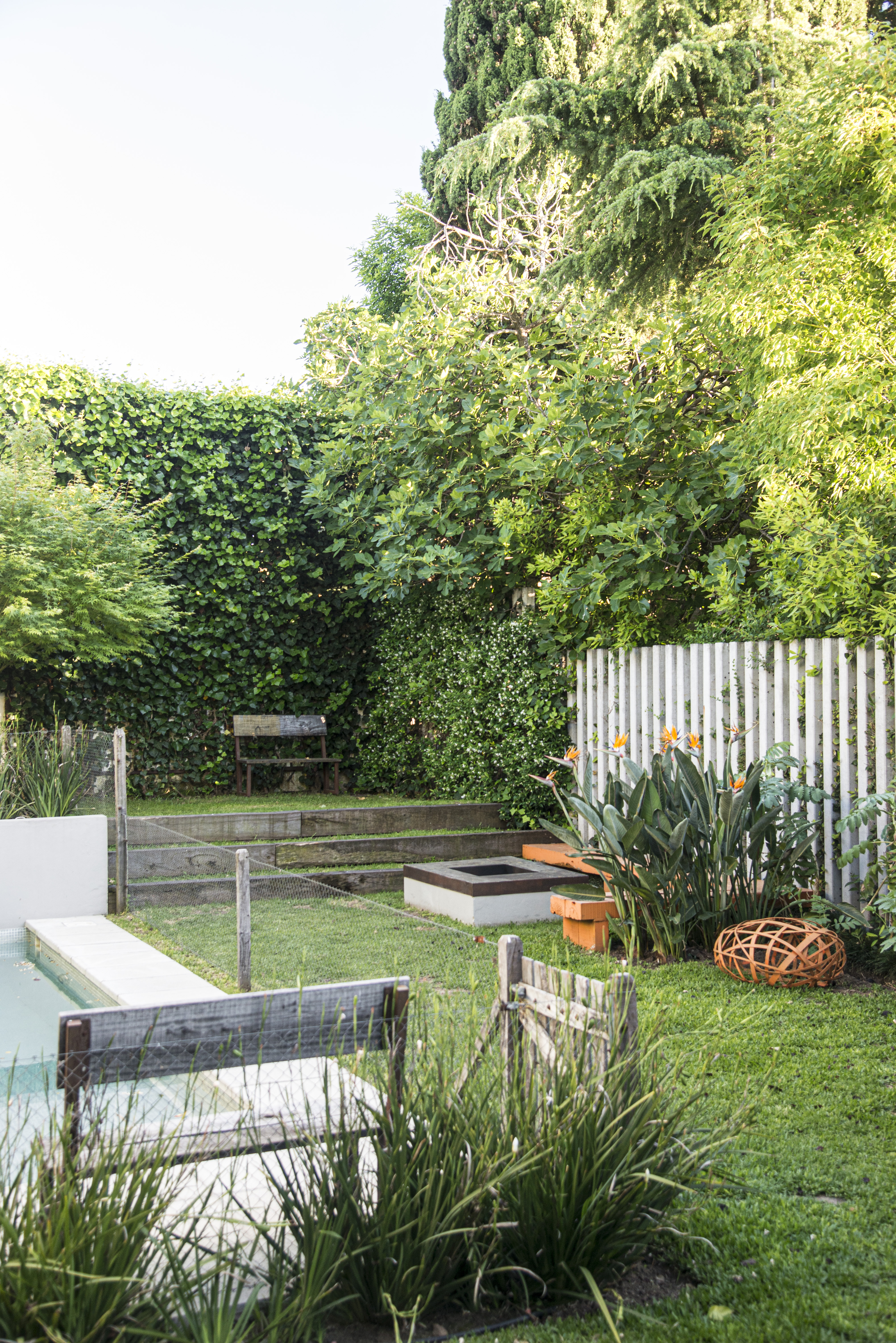 Todo al verde: un buen diseño del jardín puede sumar hasta un 20% extra en  el precio de una vivienda - Infobae, image size:4016x6016