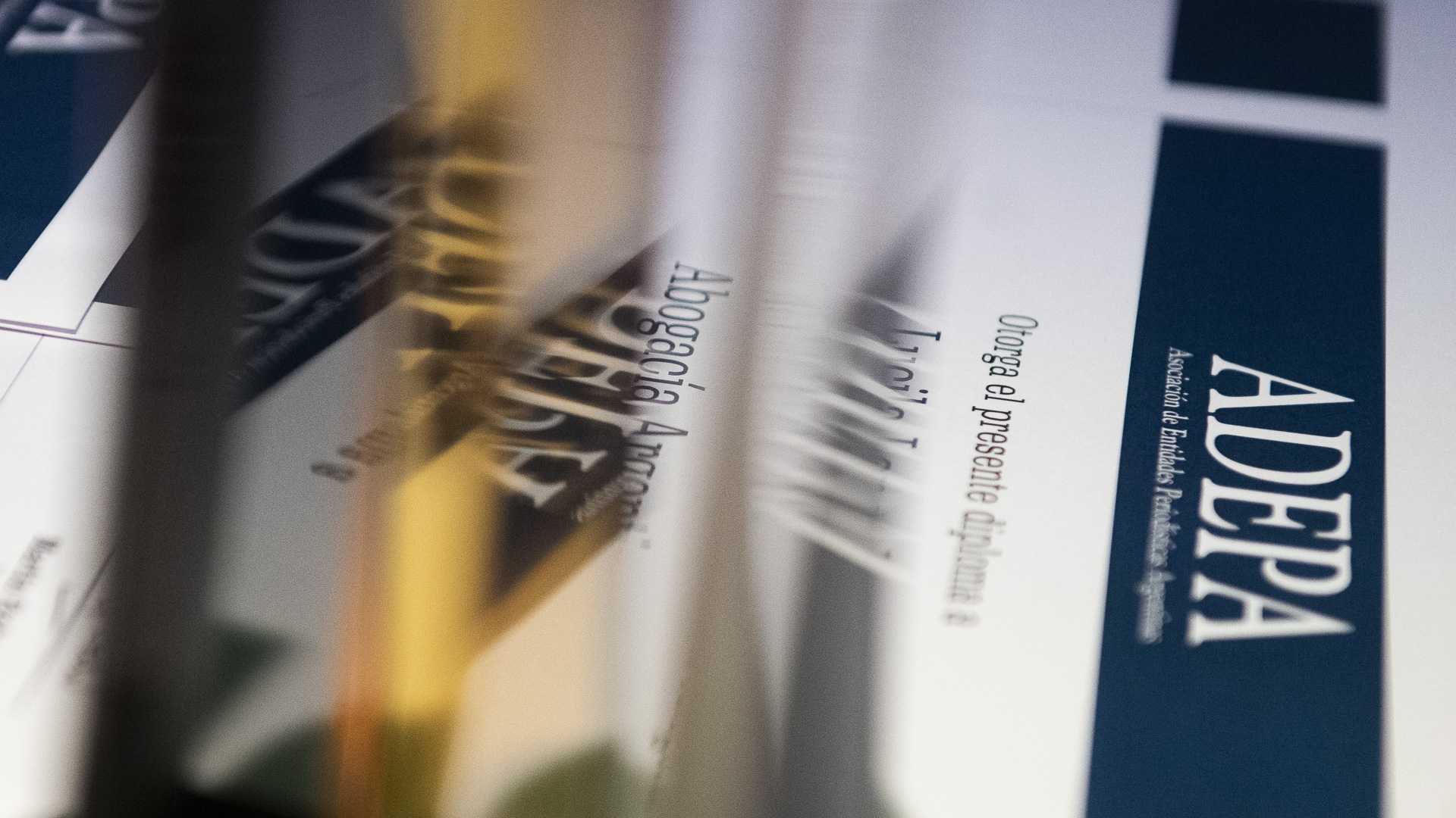 El enigma del pelo de los gatos: la ciencia reveló por qué parecen veganos aunque son carnívoros