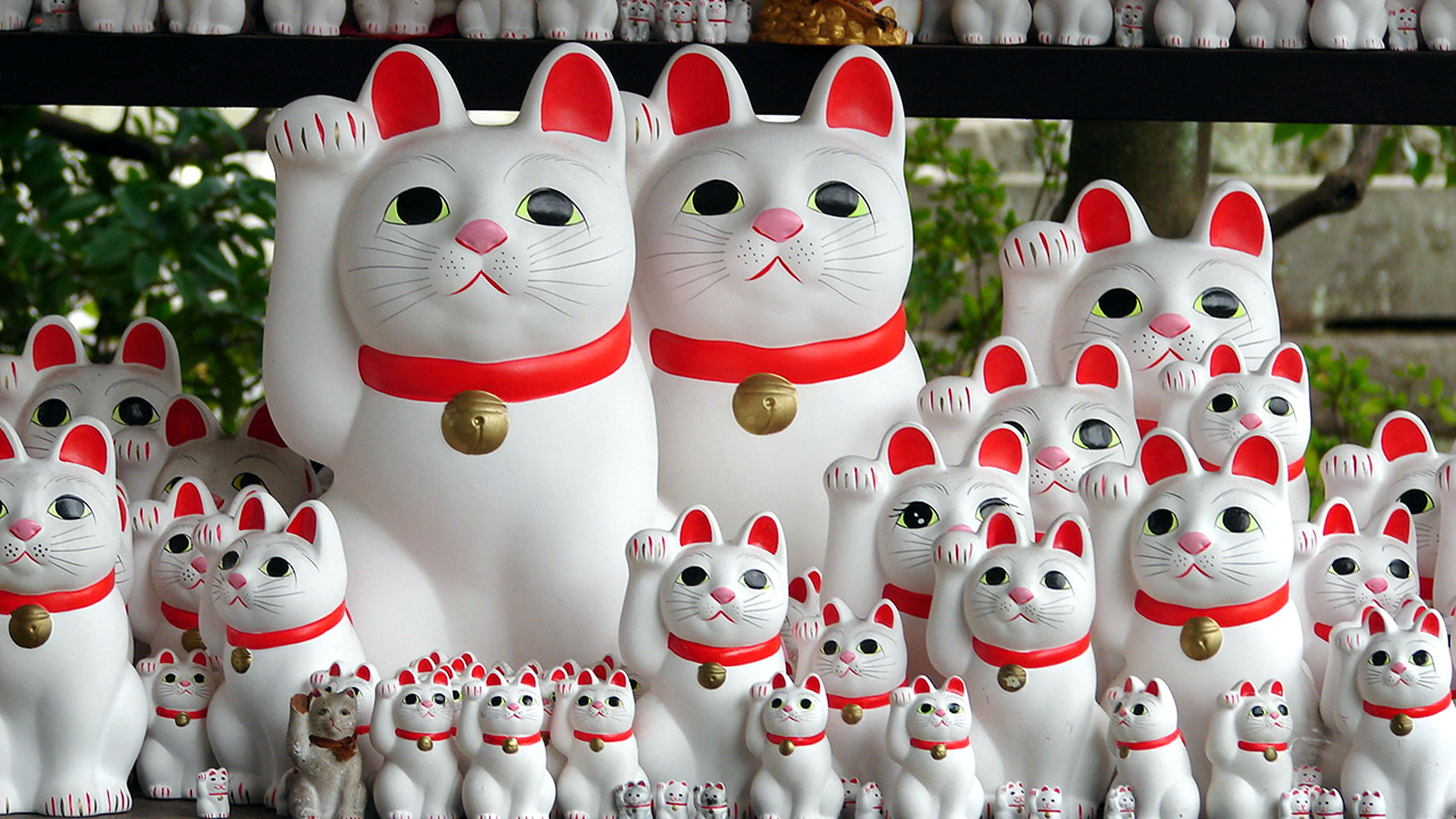 El gato de la suerte de Japón tiene una historia de leyenda - Infobae