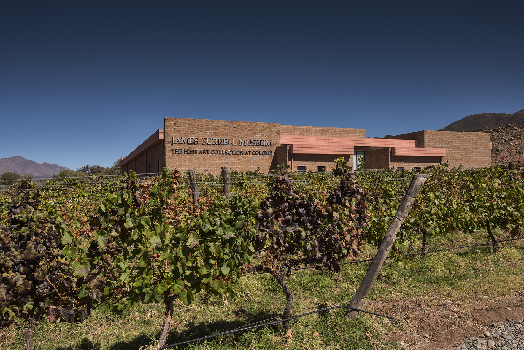 Los viñedos de Colomé están en los Vallés Calchaquíes, que en algunas regiones llegan a los 3000 metros de altura (Grupo Colomé)