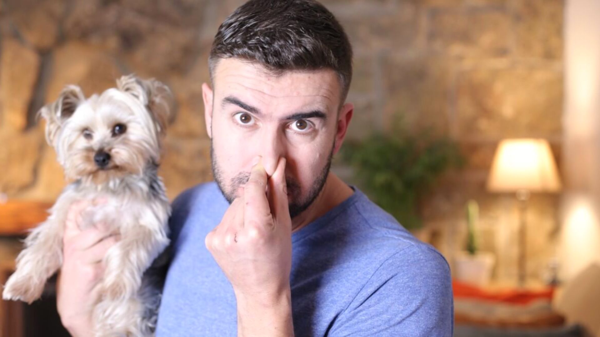 ¿Cómo eliminar el olor a perro de la casa? (Captura)