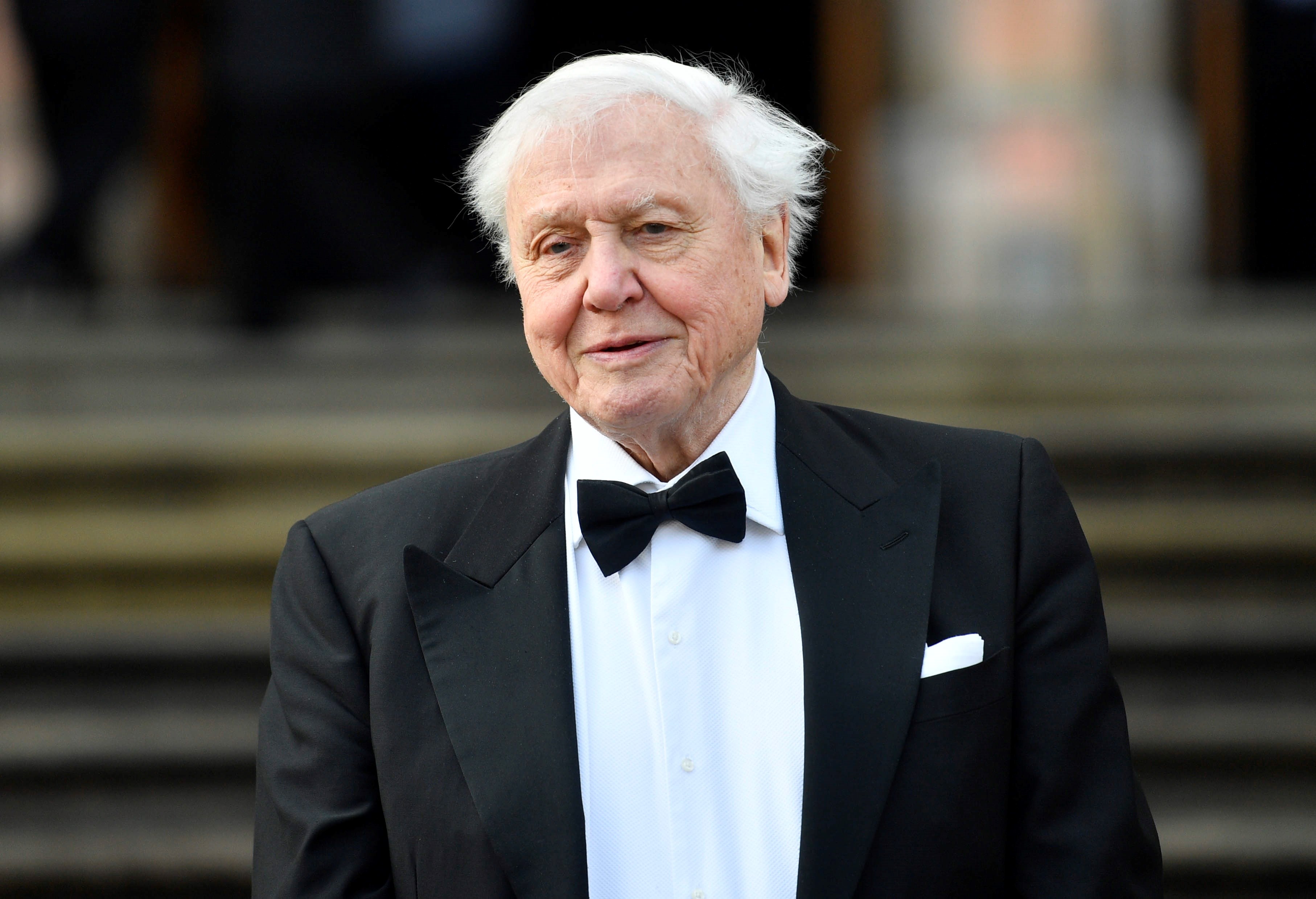 David Attenborough, el gran divulgador de la naturaleza, cumple 100 a&ntilde;os 