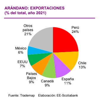 Exportaciones de arándanos - Scotiabank