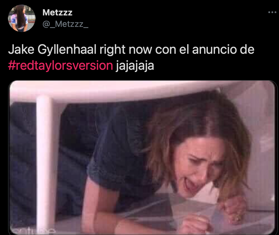 (Foto: captura de pantalla de Twitter @_Metzz_).