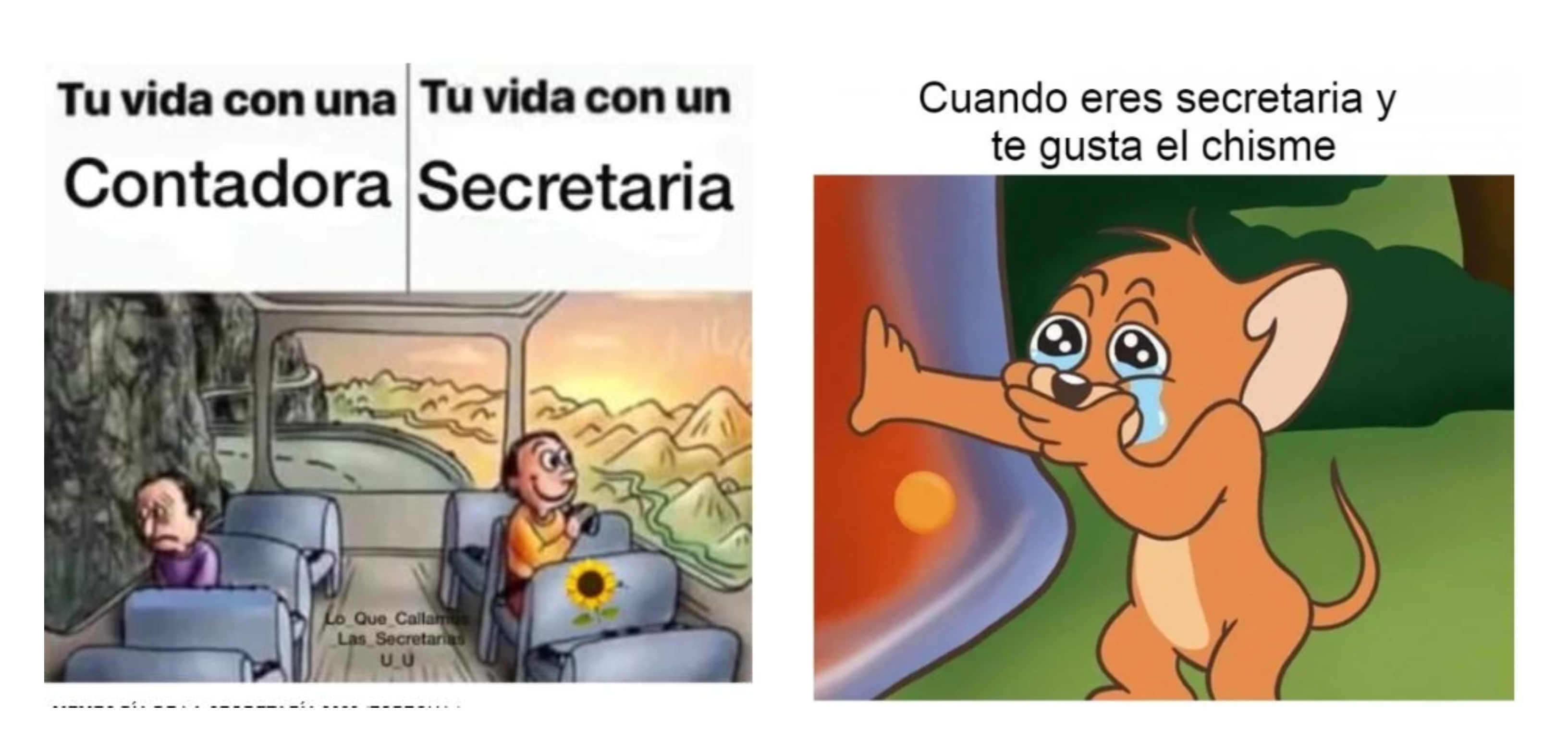 Memes Escuela Memes Escolares Memes Divertidos Memes Porn Sex Picture