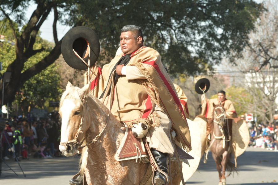 Miles de gauchos de varias provincias participaron del desfile (Gobierno de Salta)
