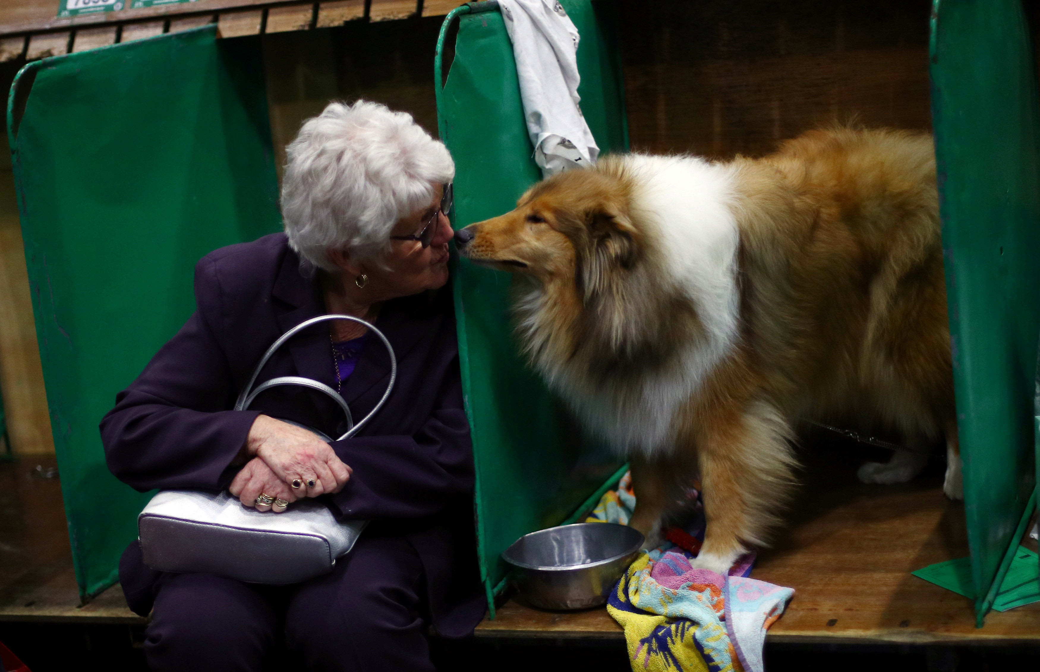 犬のキスは人間にとって致命的なスーパーバグに感染する可能性がある と研究は言う Infobae