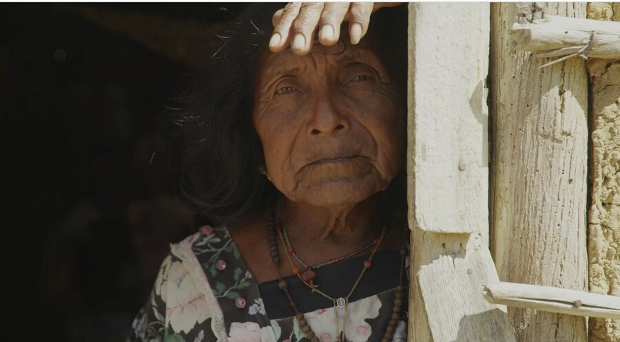 El documental narra la vida de Georgina, una mujer trans de la comunidad Wayúu
FOTO: Colprensa