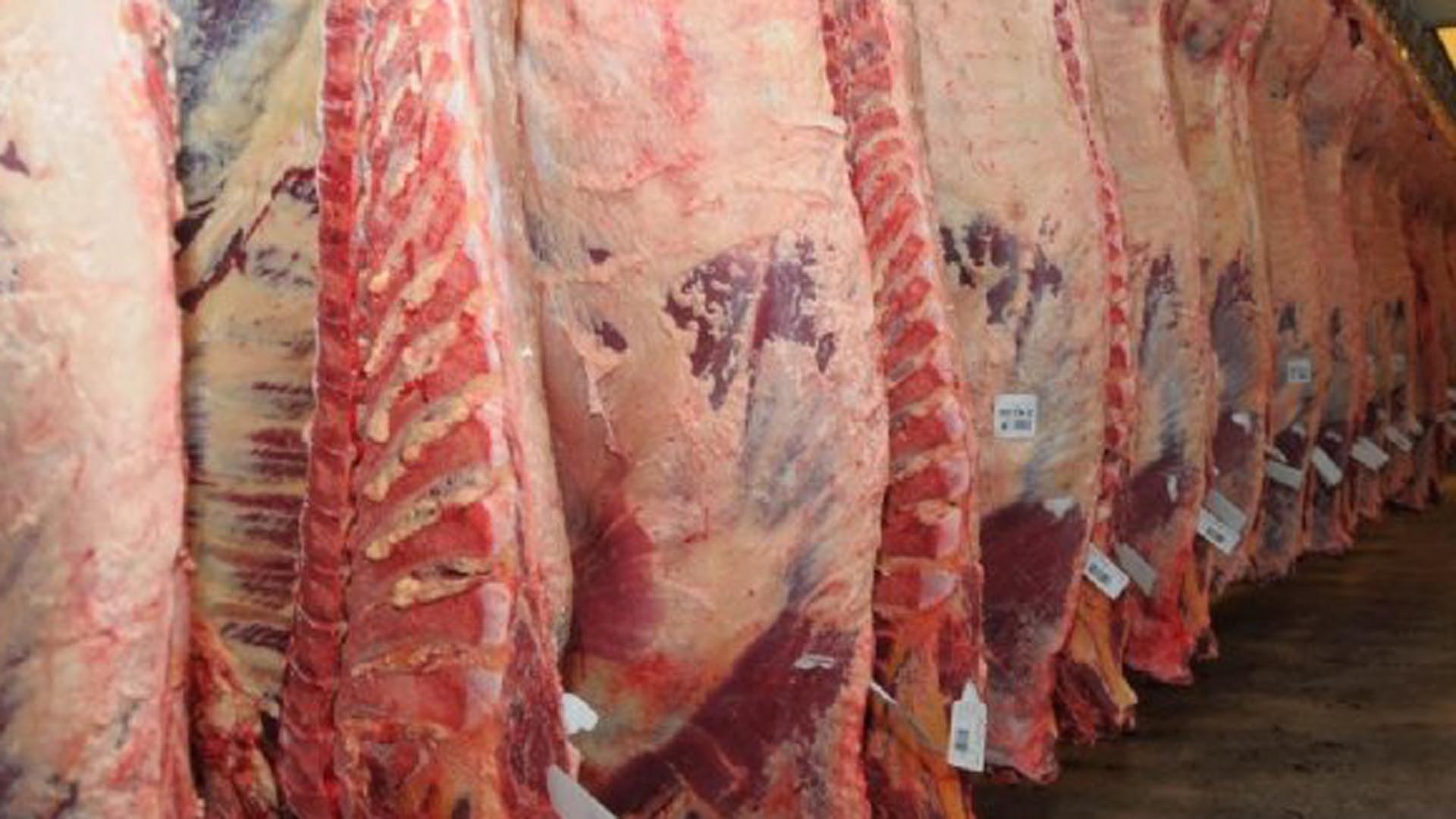 China compró casi el 80% de la carne vacuna que Argentina exportó en el primer bimestre de 2023
