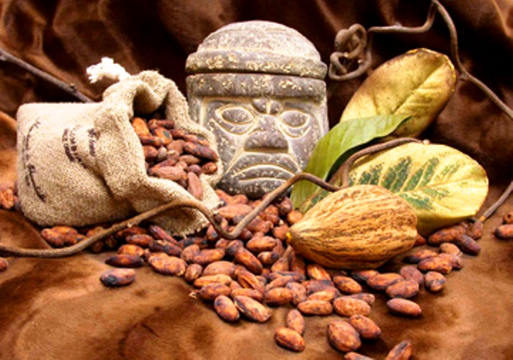 El consumo del cacao tiene sus orígenes con el pueblo olmeca hace aproximadamente cinco mil años