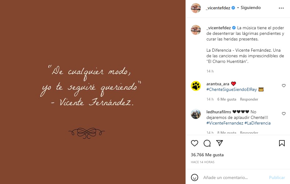 Los fans del cantante se sorprendieron con una nueva publicación que se hizo desde su cuenta de Instagram (Captura: @_vicentefdez/Instagram)