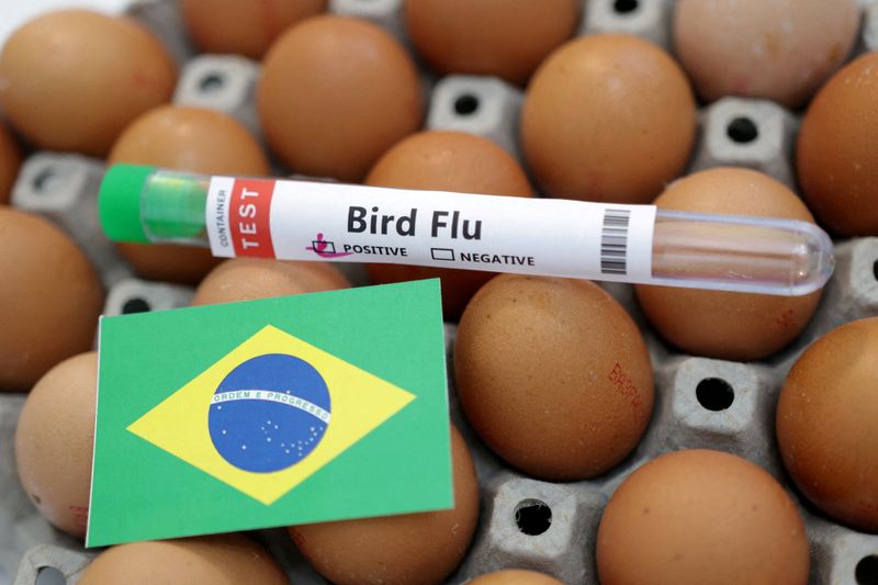 Foto ilustrativa de un vial con una etiqueta de positivo al virus de gripe aviar y una bandera de Brasil (REUTERS/Dado Ruvic/Archivo)