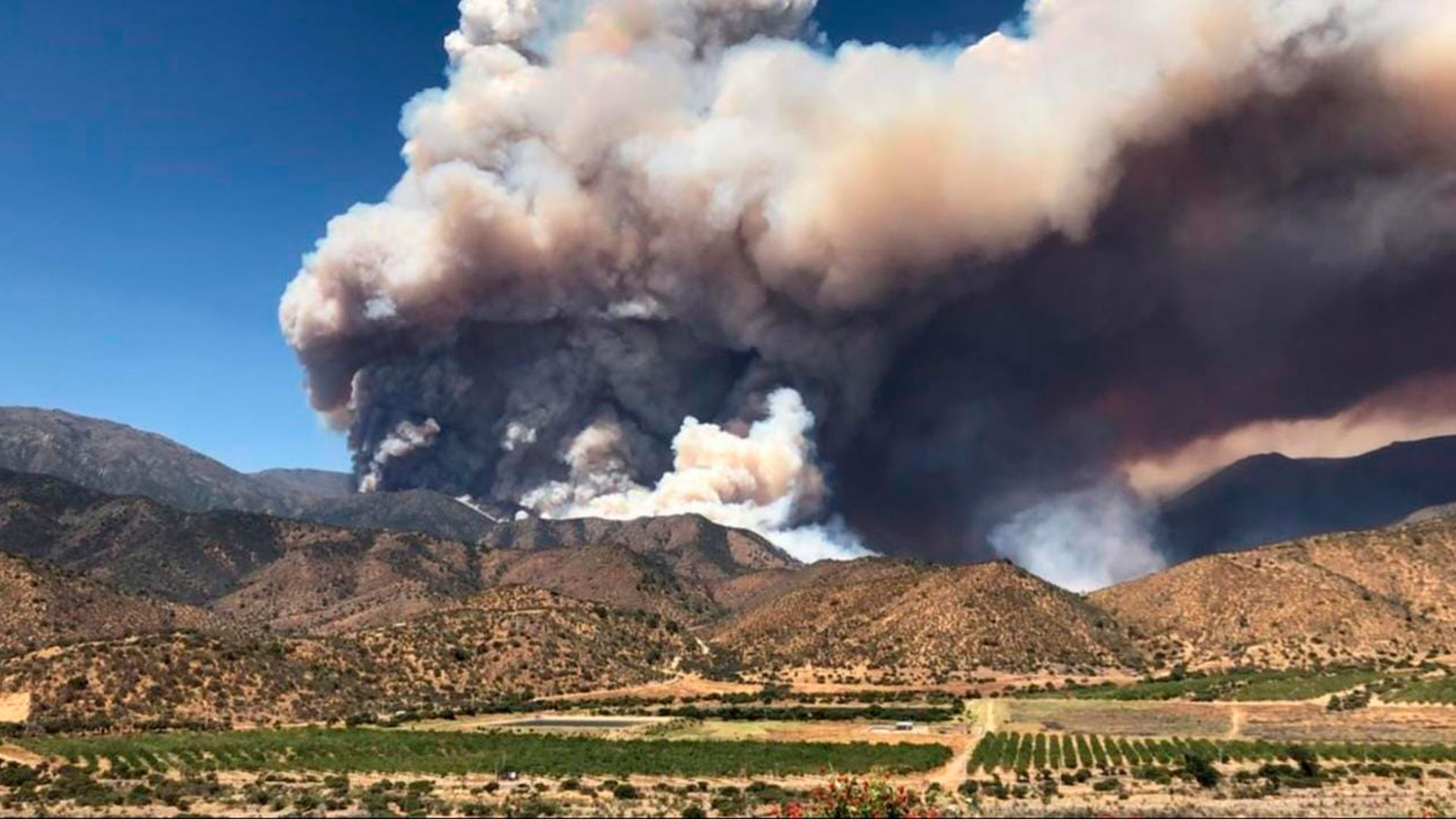 Las autoridades chilenas están combatiendo un enorme incendio generado en Curacaví, a 46 kilómetros de Santiago. (Fuente imagen: @DPPMelipilla)