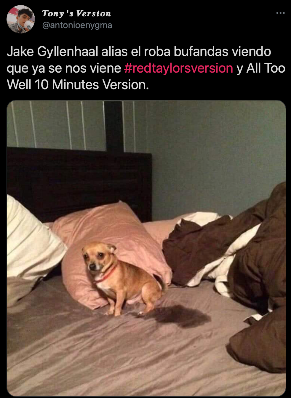 (Foto: captura de pantalla de Twitter @antonioenygma).