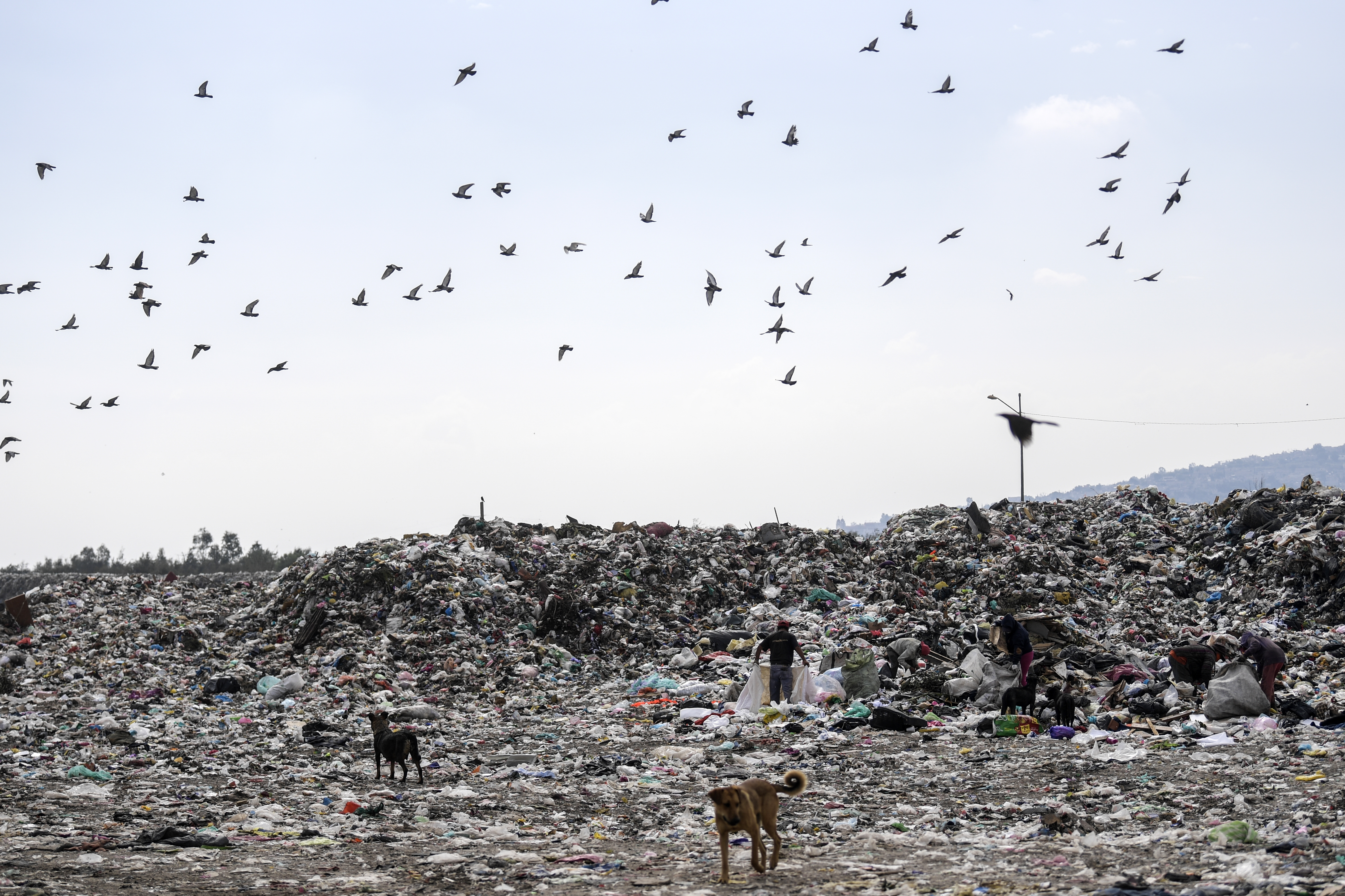 Los recolectores clasifican la basura en el basurero