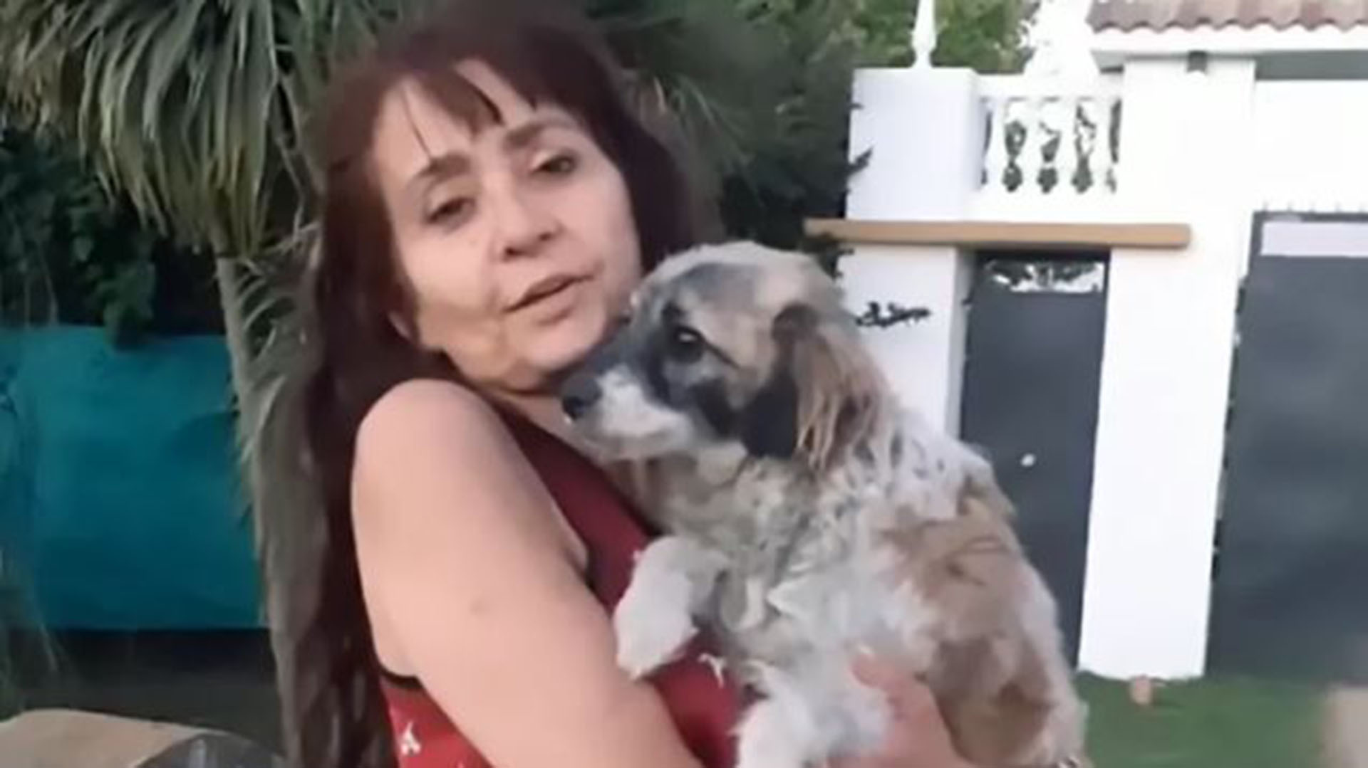 Venta de viviendas ProCreAr: todo lo que hay que saber sobre las subastas del Estado 