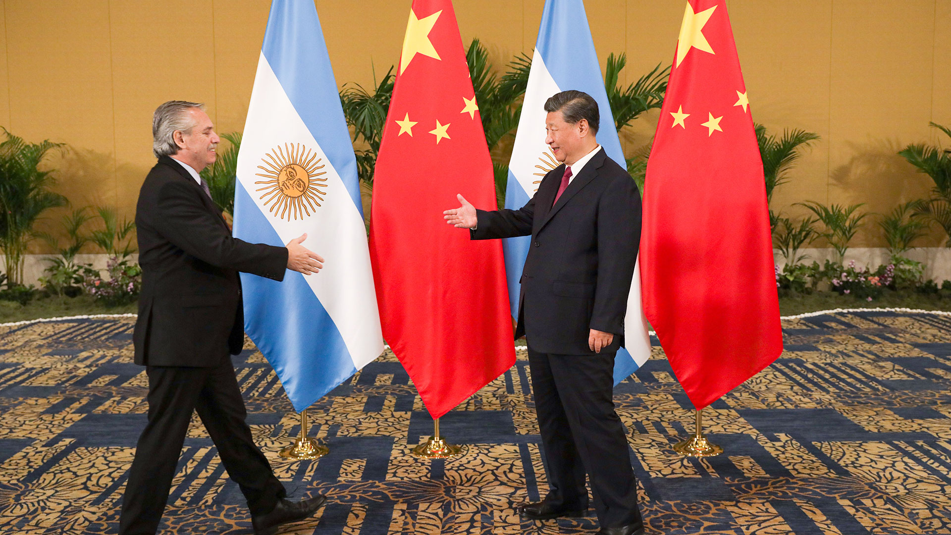 Alberto Fernández y Xi Jinping se saludan en el G20 de Bali