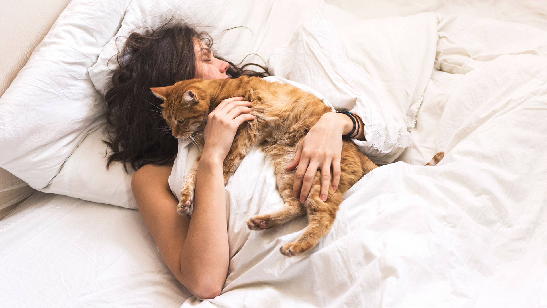 Compartir la cama con los gatos es una práctica que cosecha partidarios y detractores (Getty Images)