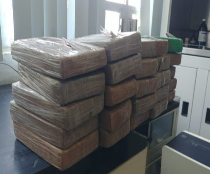 Desde marzo, las autoridades han incautado hasta 11 mil kilogramos de droga  (Foto: FGR)