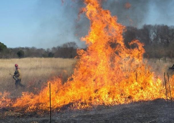 La quema controlada del follaje muerto ayuda a evitar incendios forestales. (Sebastian Carrasco/Europa Press)
