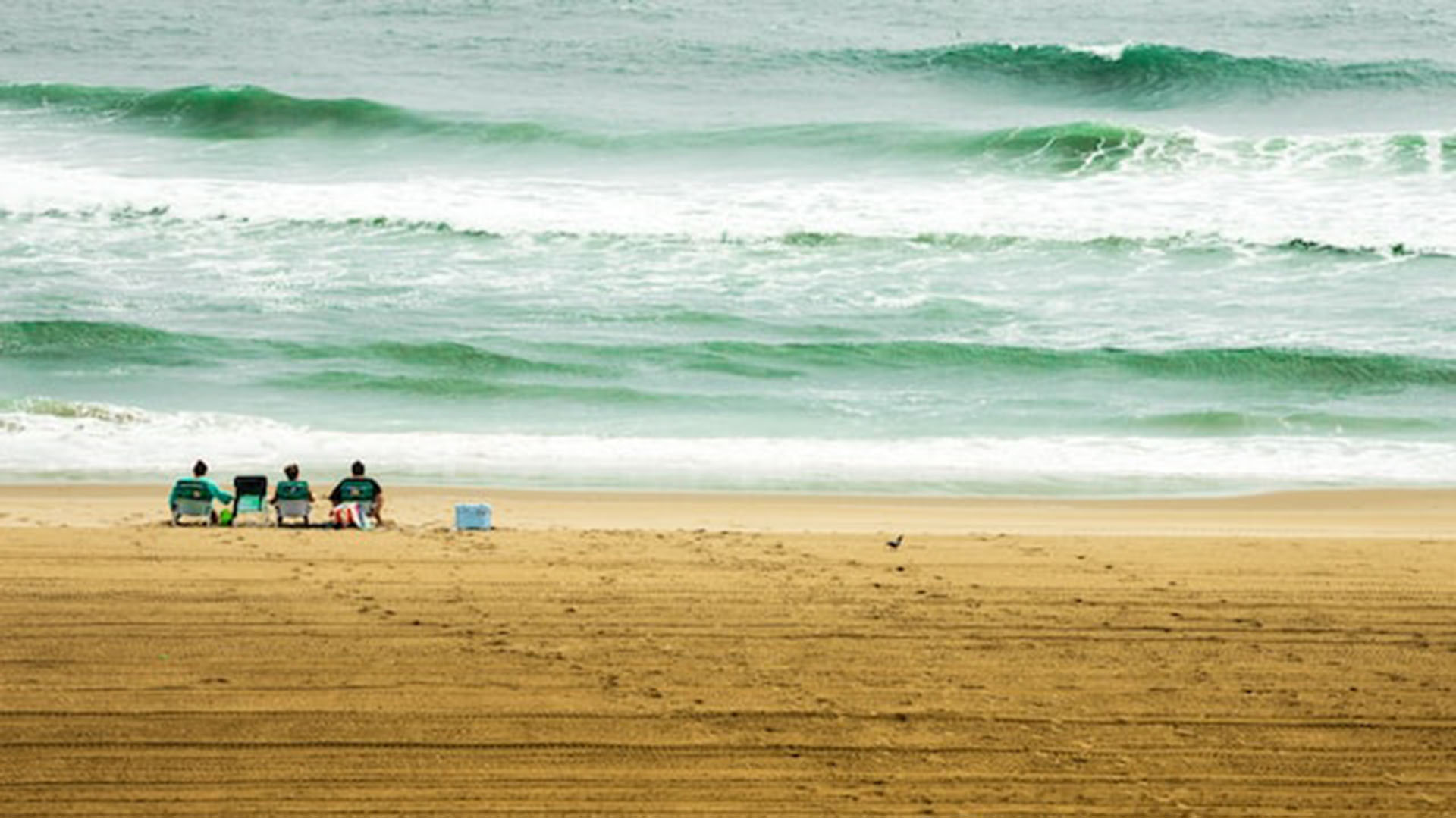 Newport News, Virginia: Encuentra tu refugio junto al mar en la encantadora Newport News.
