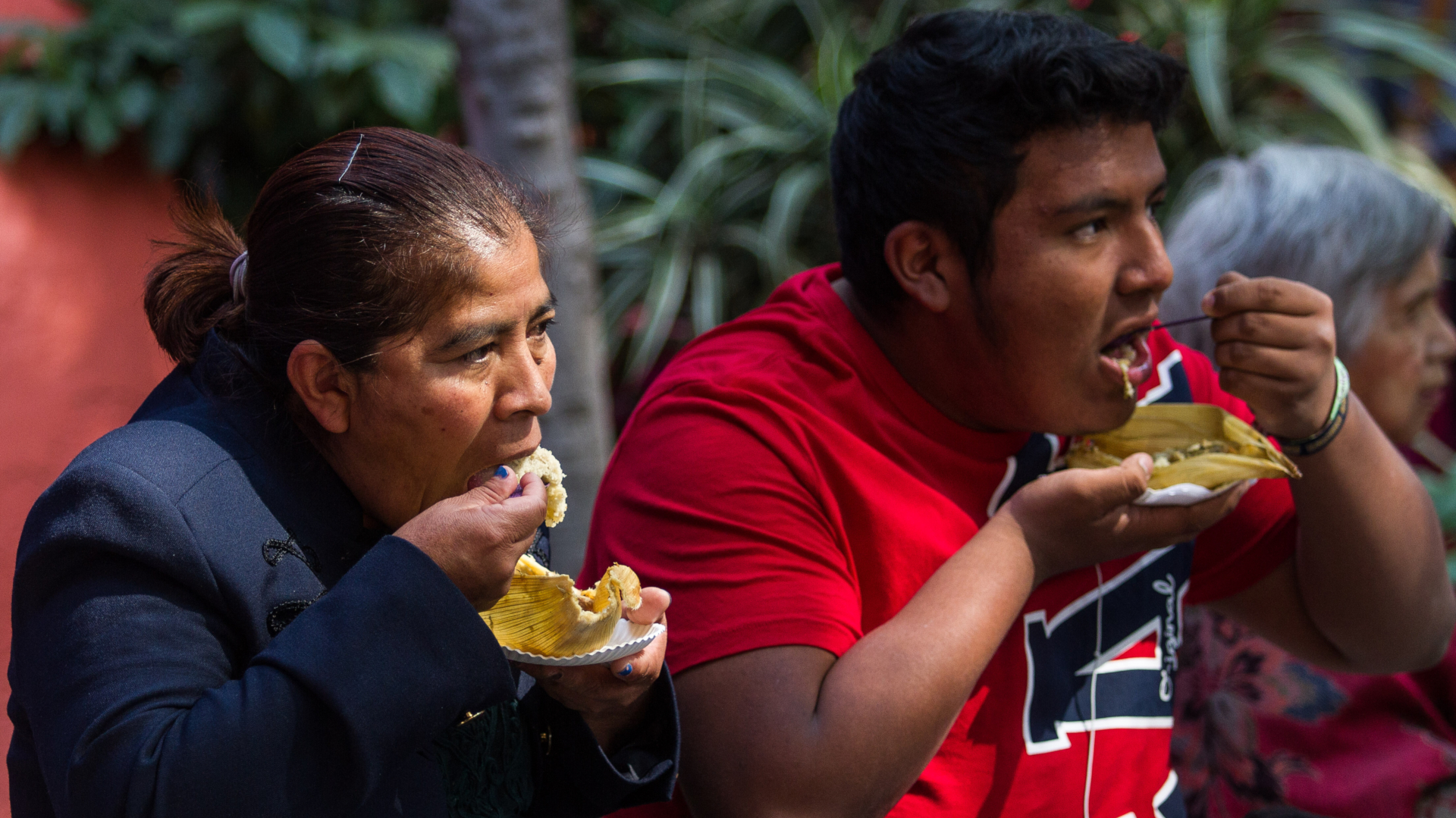  Los tamales son un alimento muy solicitado en está época del año, en que se celebra el día de la Candelaria (Foto: Cuartoscuro)