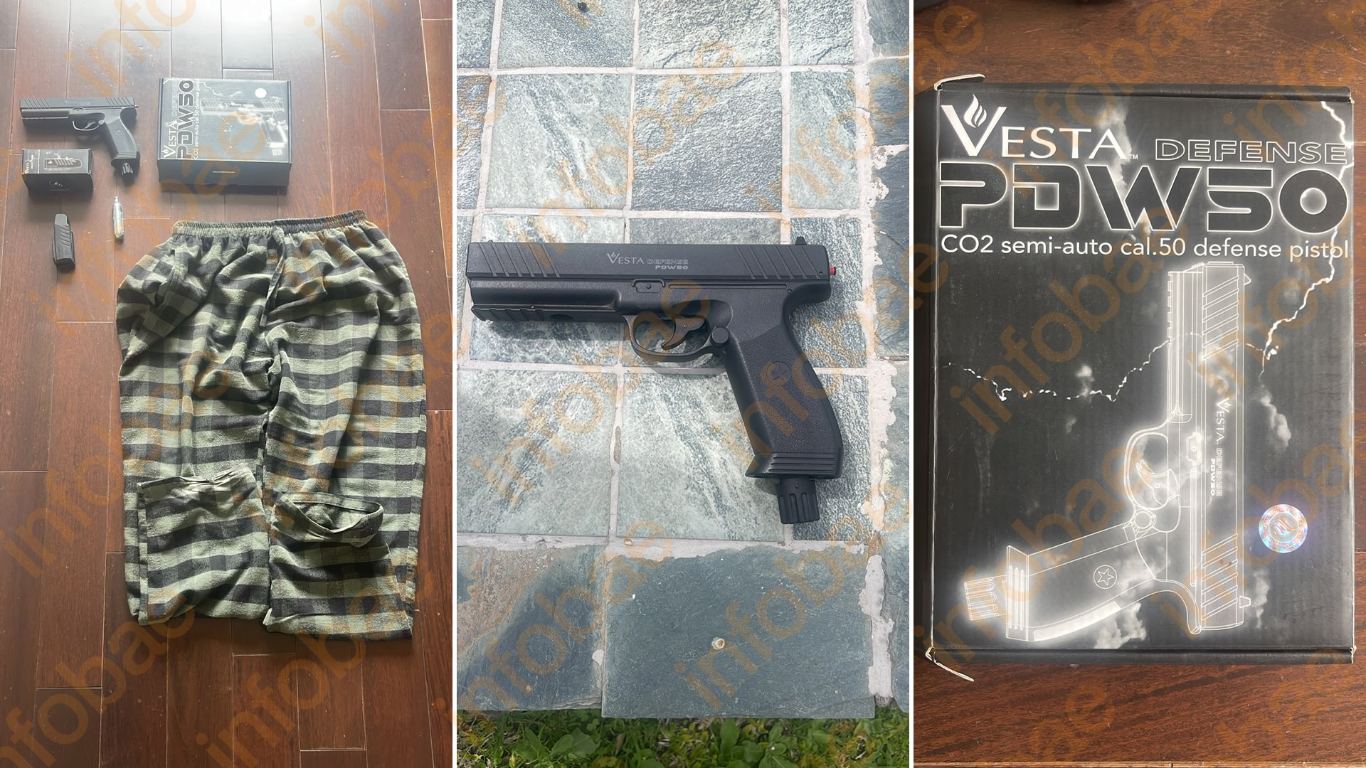 Video: un vecino de Nordelta le disparó a carpinchos, lo filmaron y fue denunciado por maltrato animal
