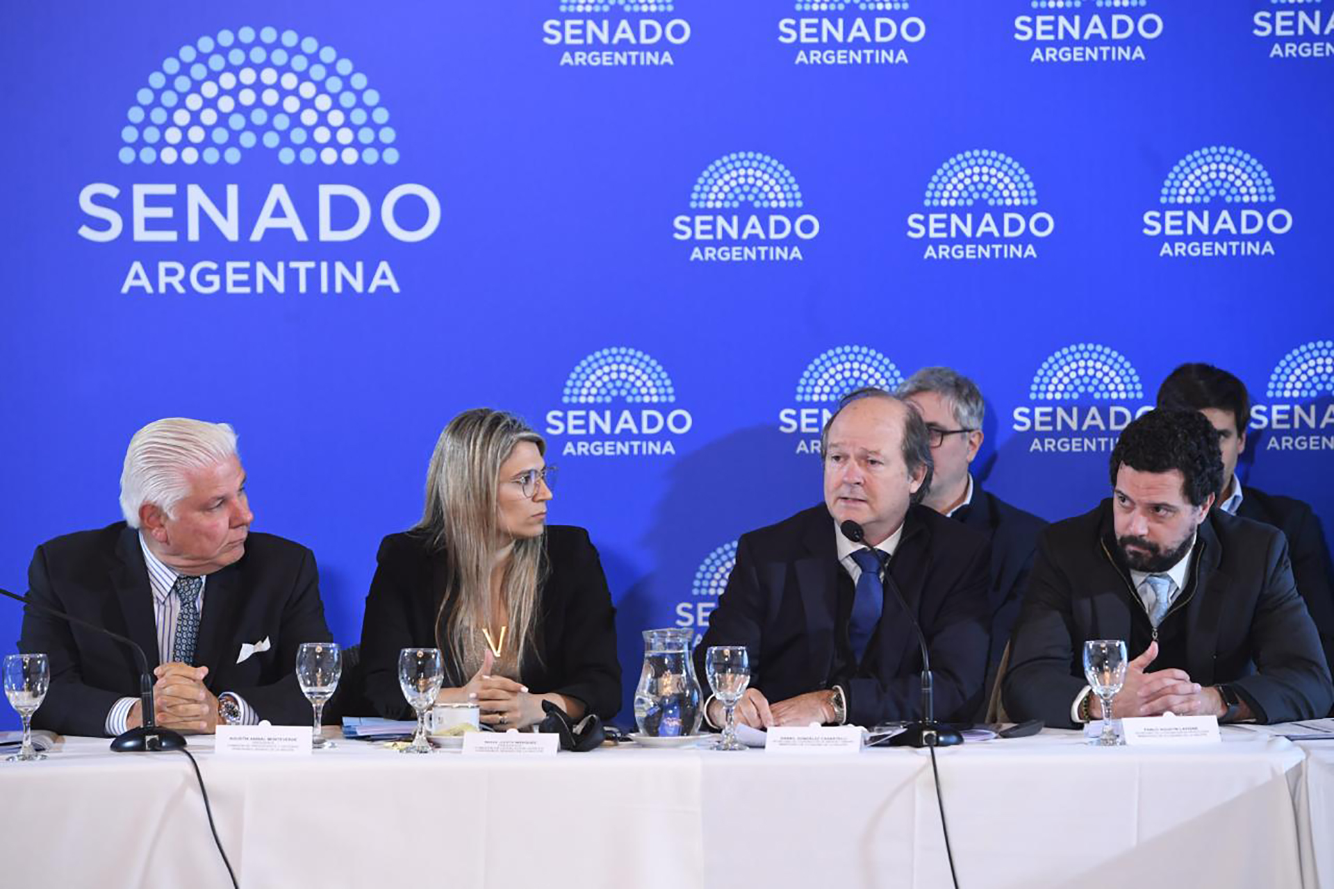 El Gobierno busca blindar el S&uacute;per RIGI: el secretario de Hacienda ir&aacute; al Senado por pedido de la oposici&oacute;n