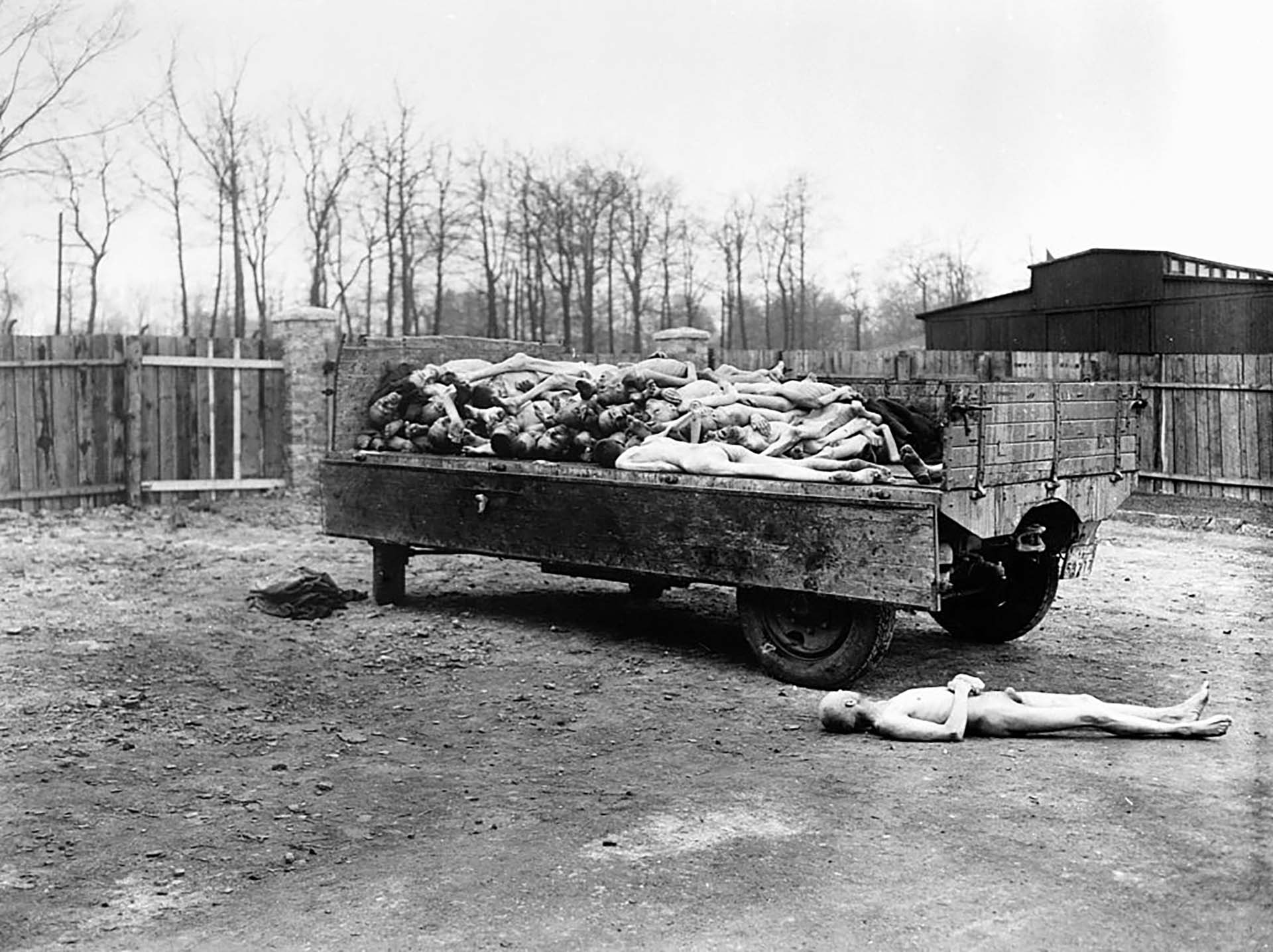 Los cadáveres de las víctimas nazis yacen en un vagón y en el suelo en el campo de concentración de Buchenwald. Los cuerpos estaban a punto de ser quemados cuando el campamento fue capturado por tropas del 3.er Ejército de los EE. UU. (Corbis vía Getty Images)
