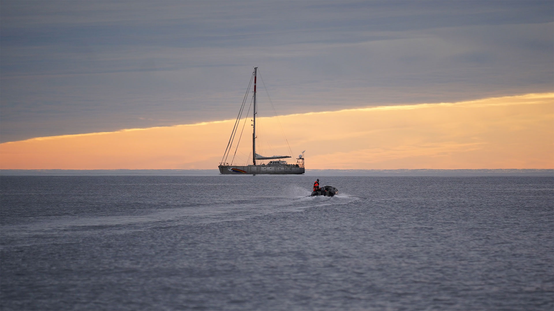 Ballenas, delfines y un temporal en mar abierto: seis días a bordo del Witness, el velero más nuevo de Greenpeace
