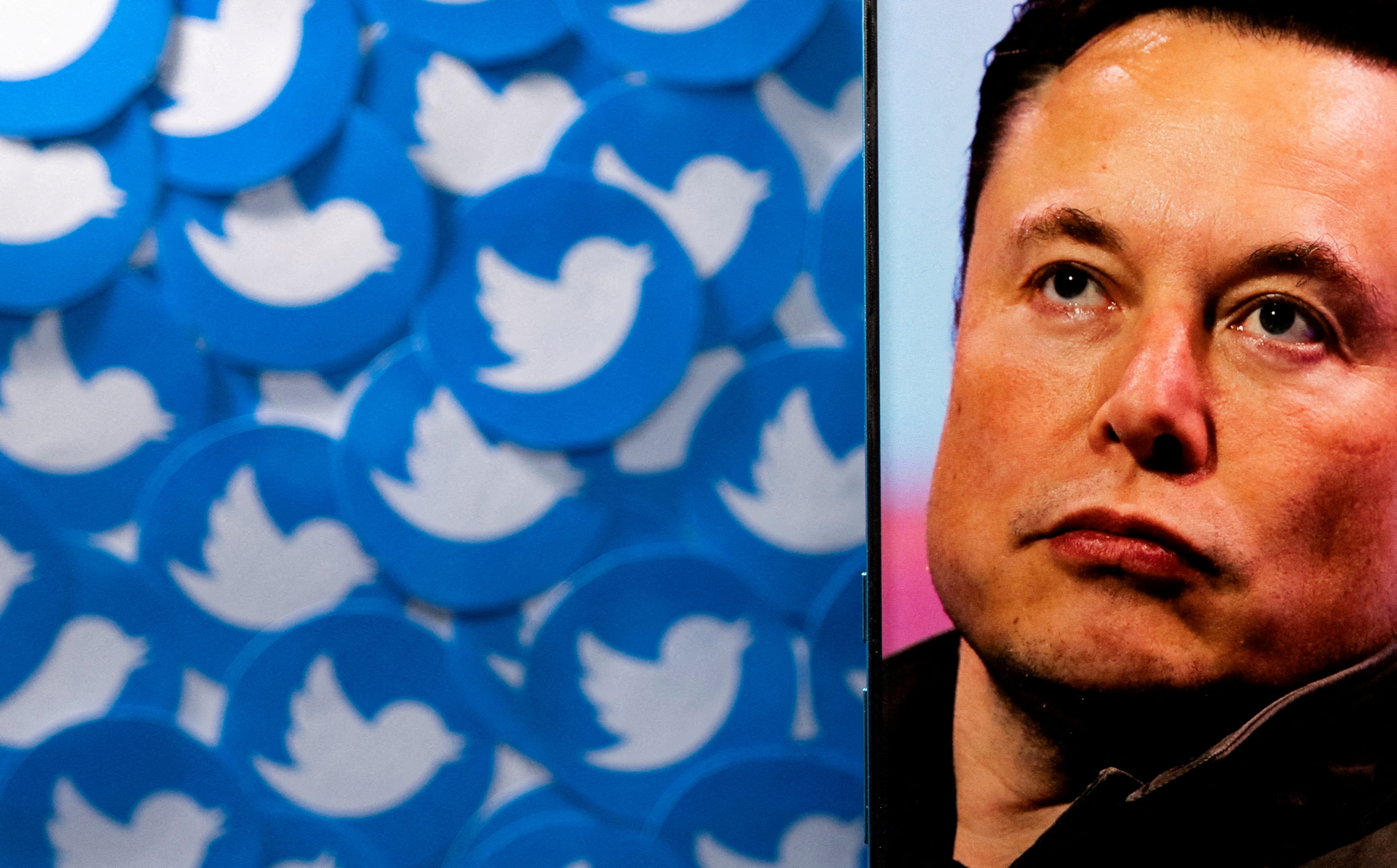 Elon Musk y Twitter. (foto: REUTERS/Dado Ruvic)