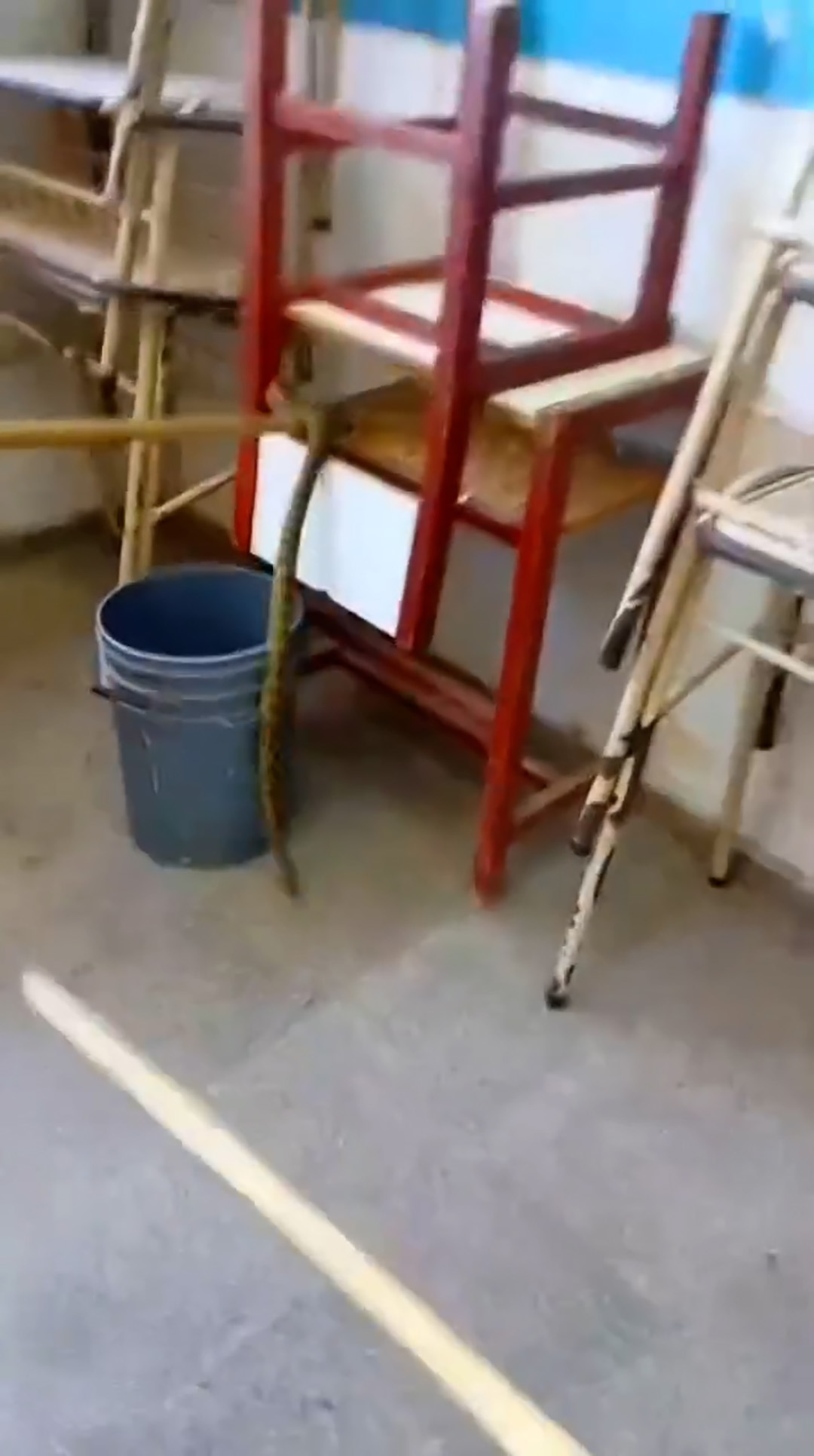 Argentina confirmó un nuevo amistoso en La Bombonera previo al Mundial 2026: el rival elegido