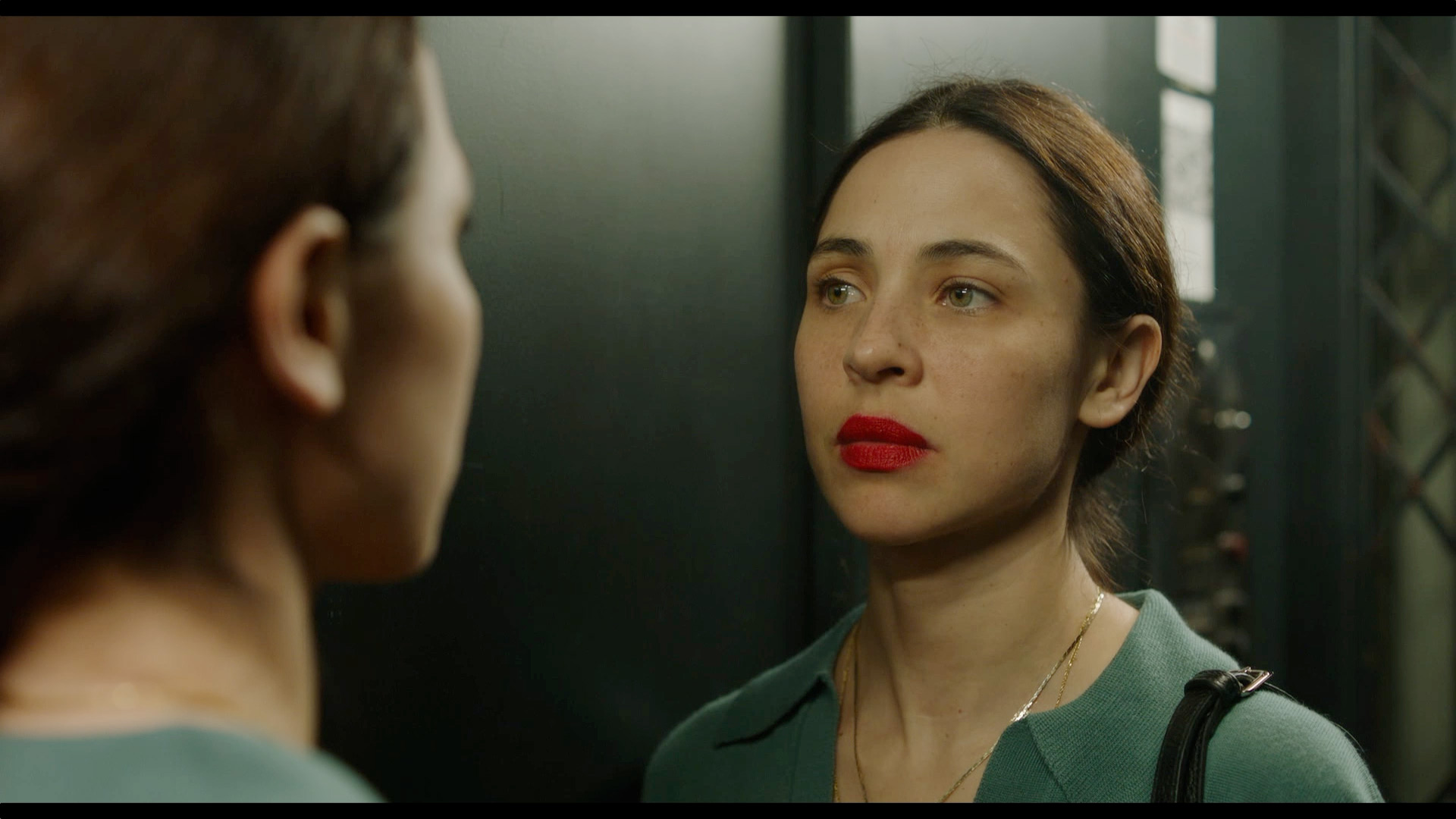 Alerta en Australia por la floración de algas tóxicas: murieron más de un millón de animales marinos