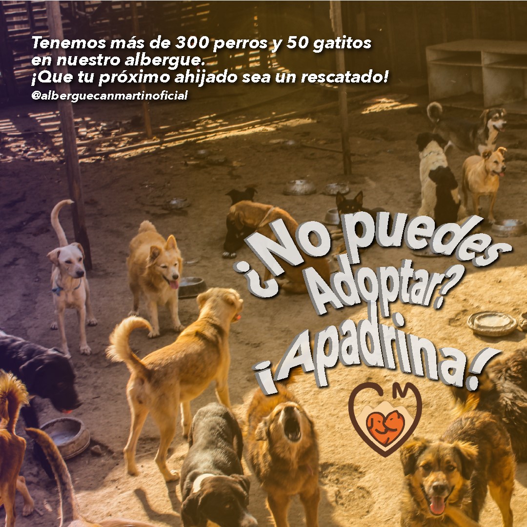 Albergue Can Martín, del distrito de SMP, pide ayuda para solventar los gastos de cientos de animales rescatados.