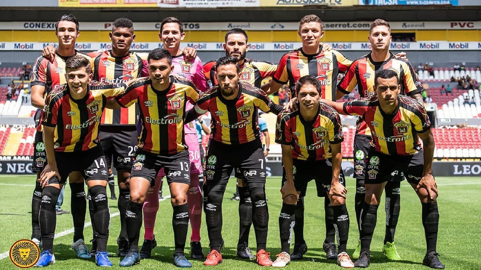 Liga MX: Leones Negros solicitó a Yon de Luisa las claves para poder  adquirir una plaza en Primera División - Infobae