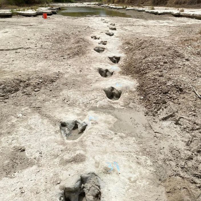 Las misteriosas huellas de dinosaurios que la sequía en Texas permitió descubrir - Infobae