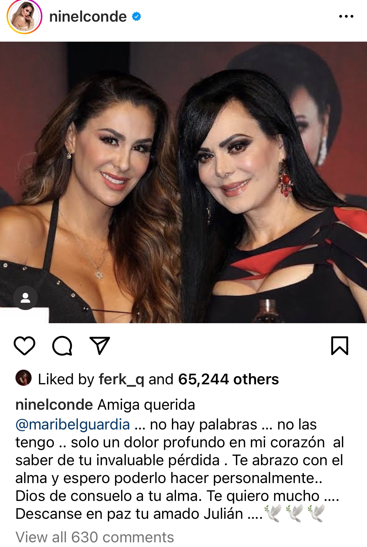 Ninel Conde, quien fue muy cercana a la Dinastia Figueroa por ser novia de José Manuel Figueroa, se solidarizó con Maribel Guardia (Instagram @ninelconde)