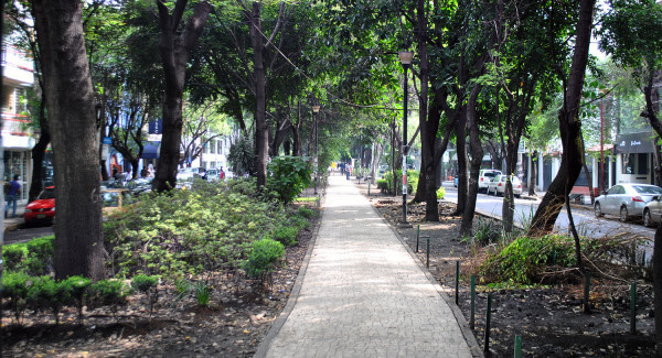 Qué calle de la CDMX es considerada una de las “más cool” del mundo