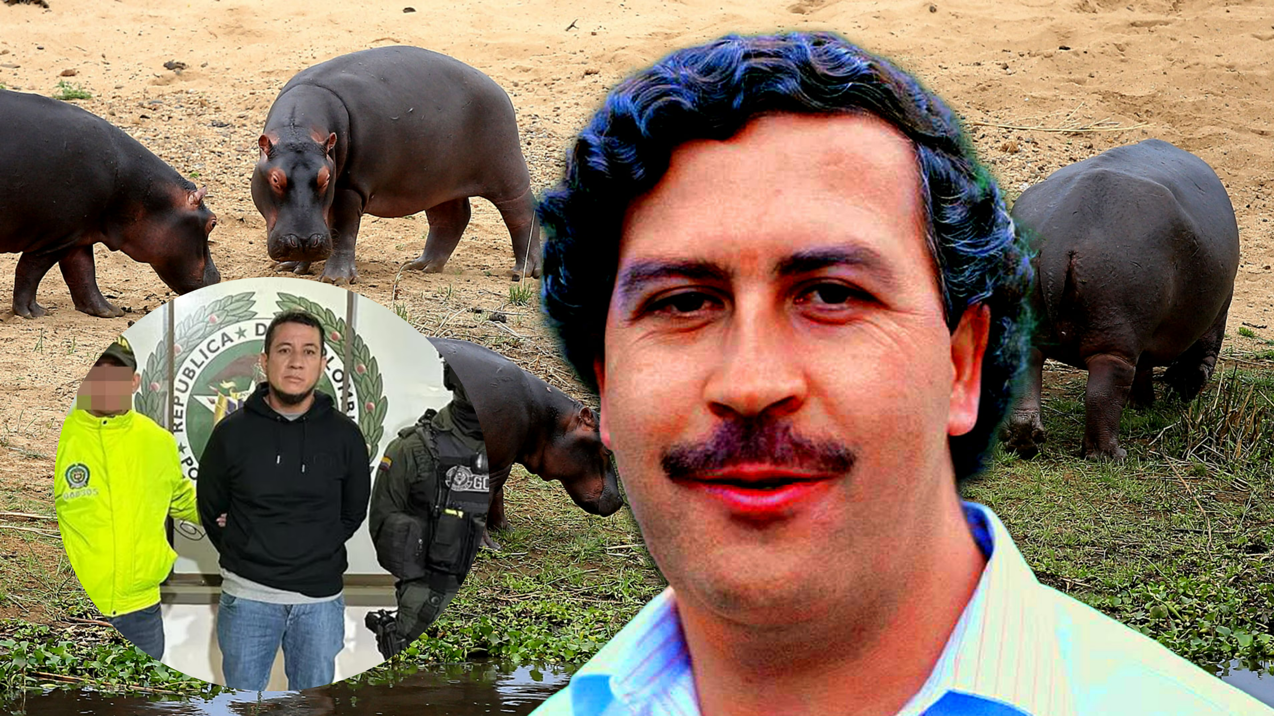 La historia del Pablo Escobar ecuatoriano, tenía un zoológico en su casa igual que el narco colombiano