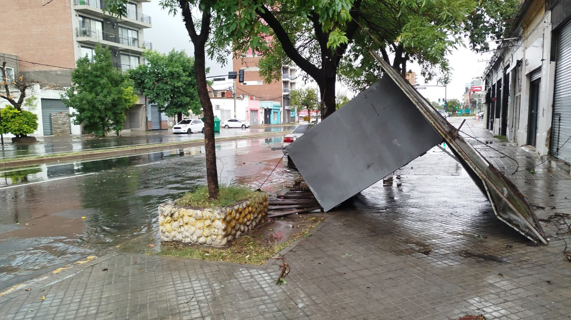 Un temporal azotó Rosario en pocos minutos: árboles arrasados, calles inundadas y cortes en los servicios