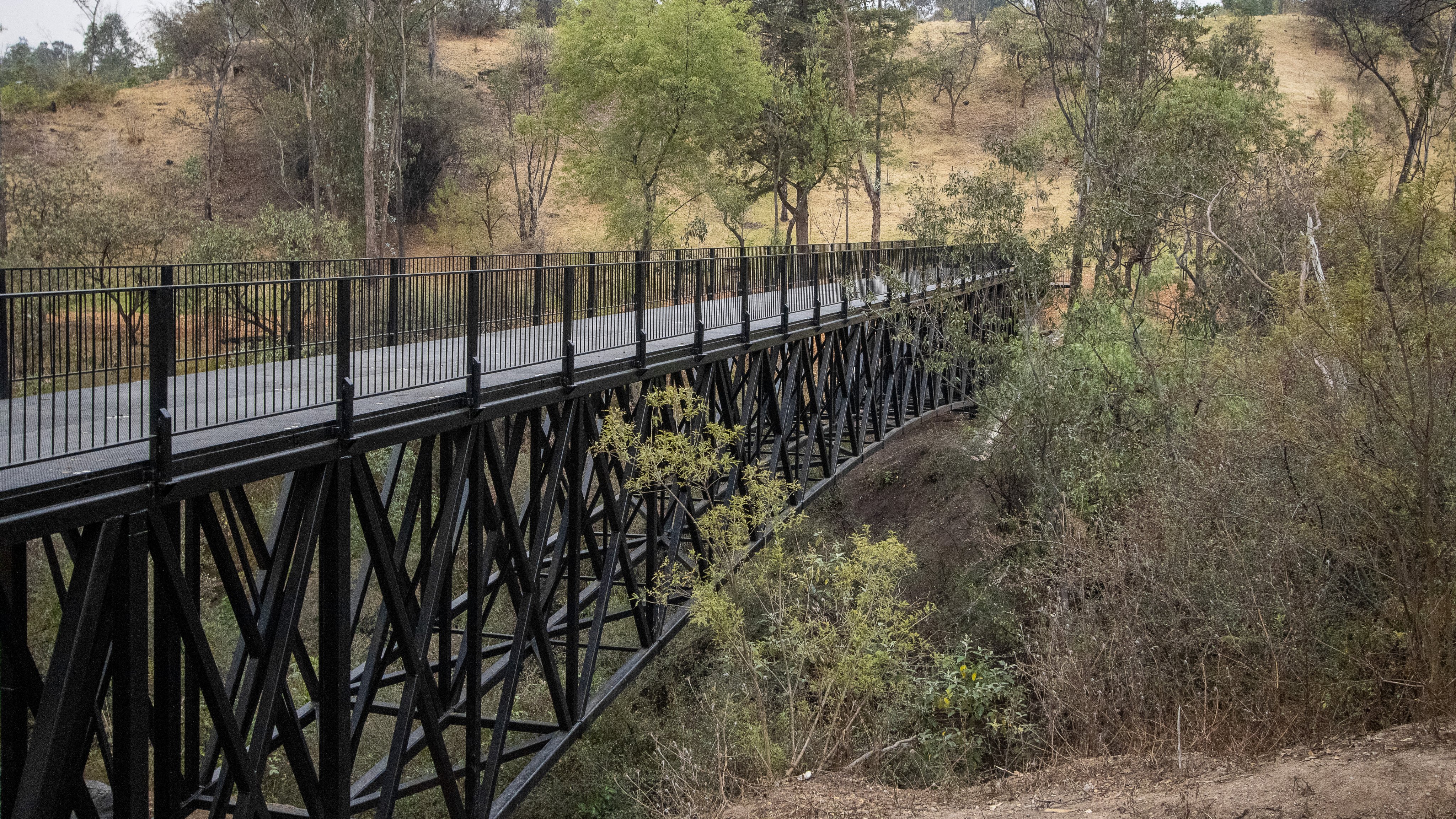 Así operaba un abusador sexual en el Bosque de Chapultepec de la CDMX -  Infobae