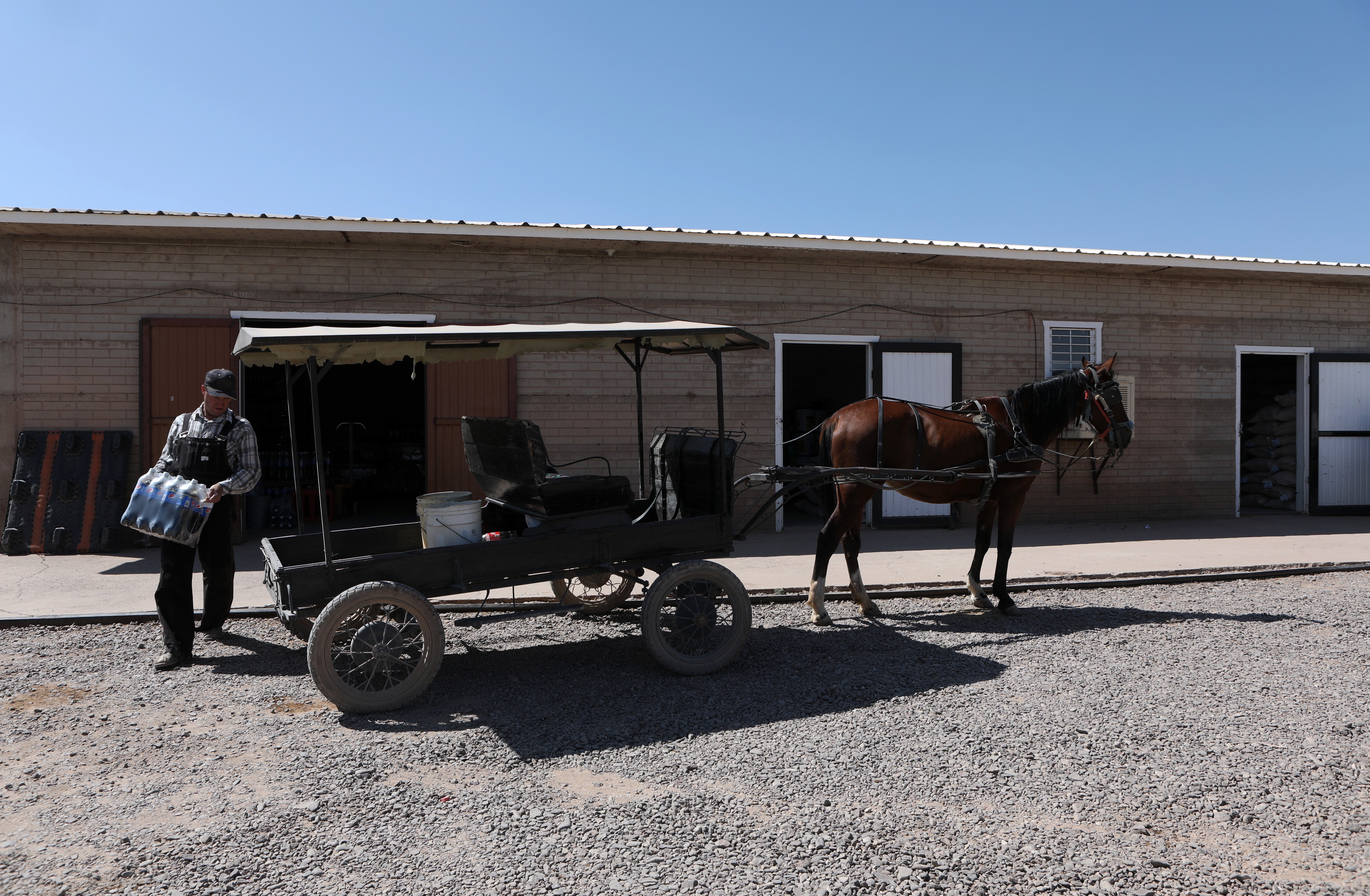 Un hombre menonita carga una caja de refrescos en un carro tirado por caballos en una comunidad menonita en el municipio de Ascensión estado de Chihuahua, México, el 26 de septiembre de 2020.
