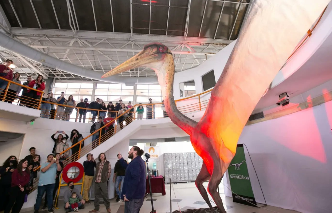 Científicos de Mendoza presentaron al público los fósiles del reptil alado más grande de Sudamérica