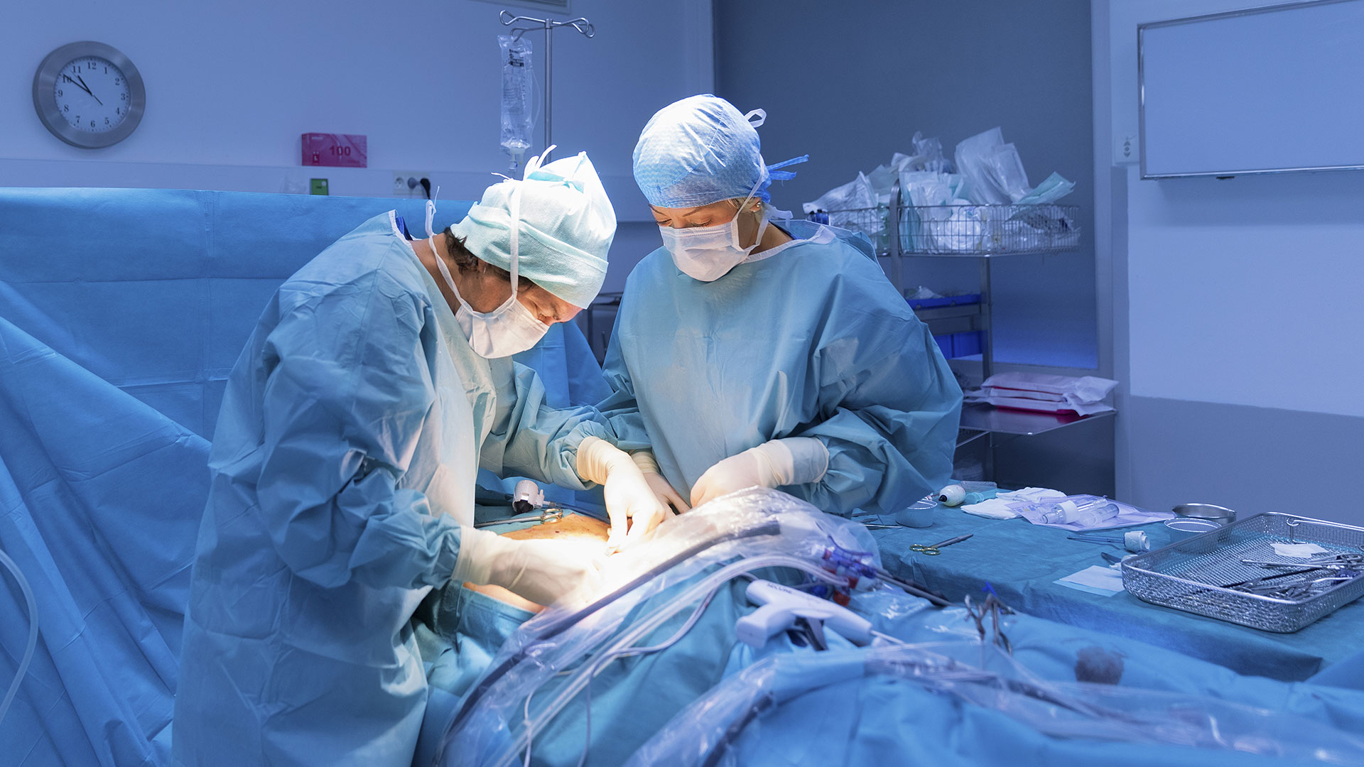 En lo que va del año se realizaron 1.502 trasplantes de órganos y córneas, informaron desde el INCUCAI / (Getty Images)