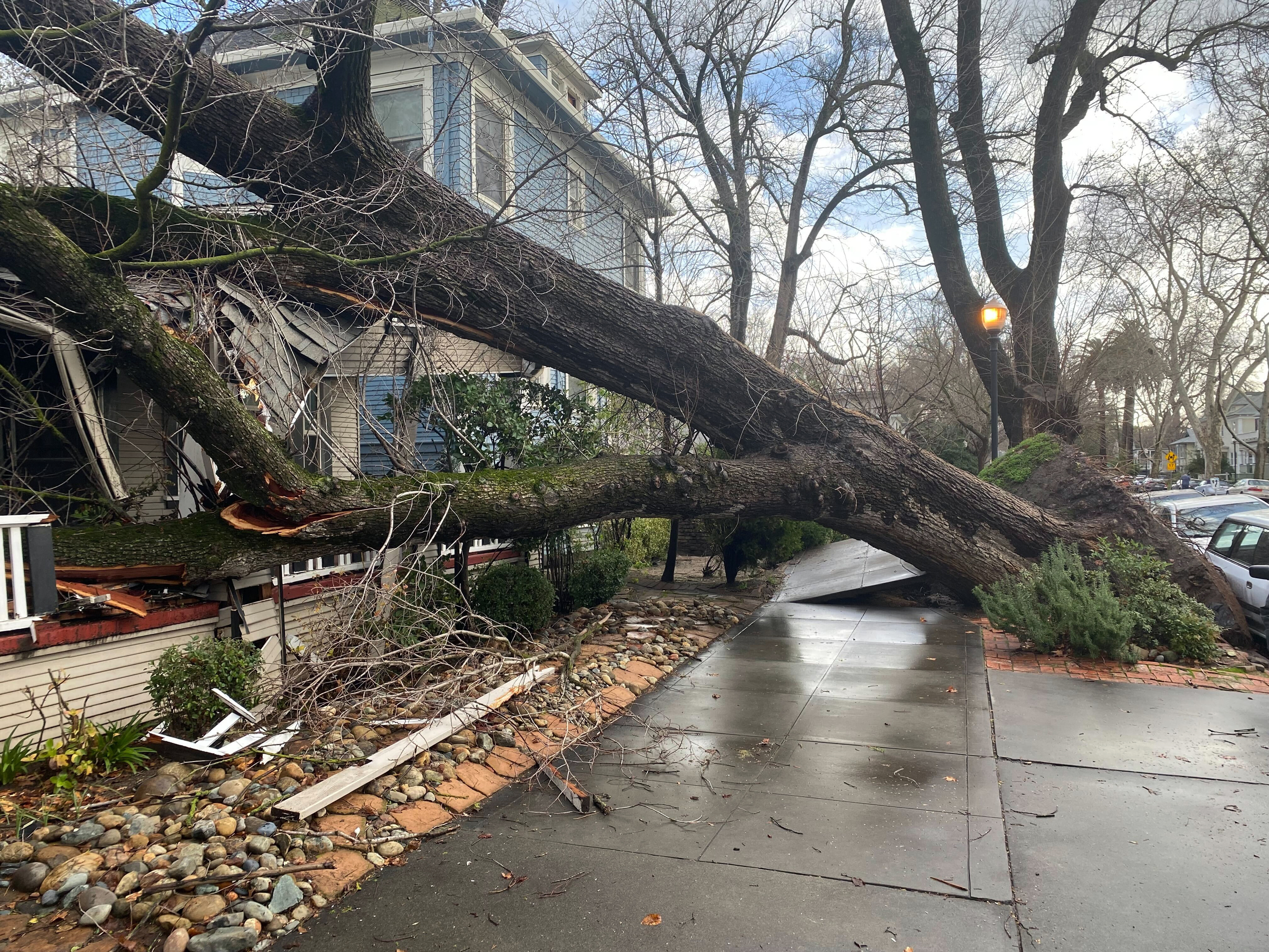 Un árbol cayó sobre una vivienda a causa de las tormentas en Sacramento, California