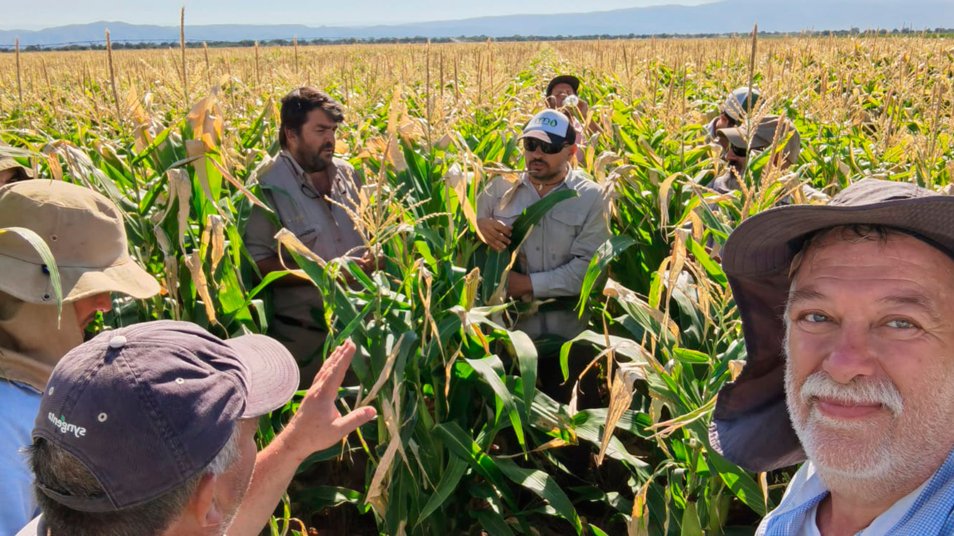El rey del maíz en Argentina: la historia de un agricultor mexicano que consiguió el récord mundial de producción del cereal 