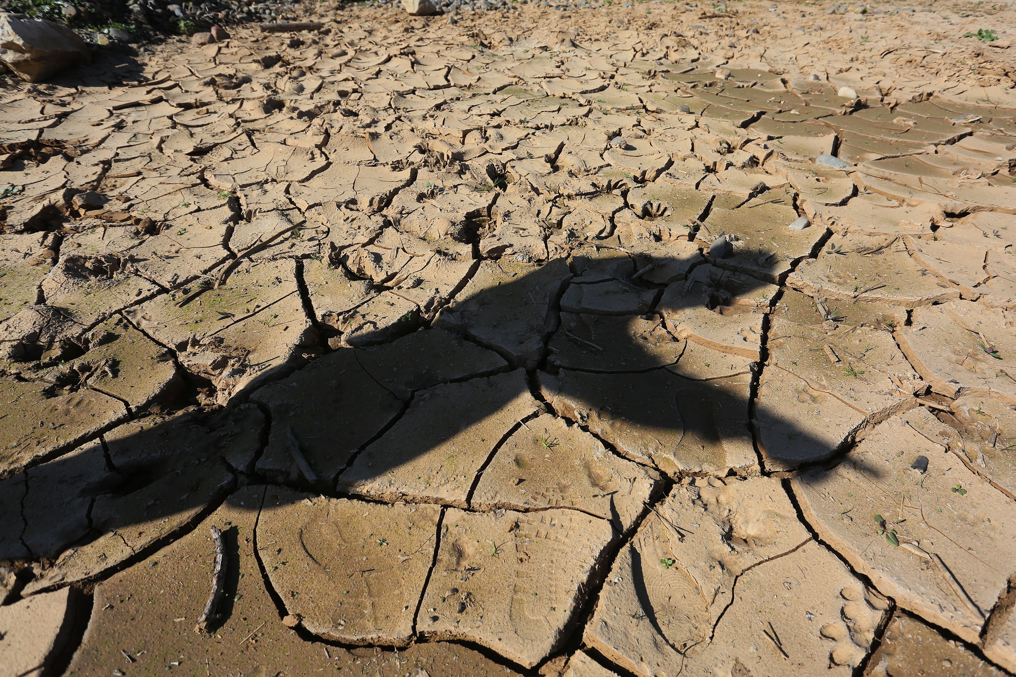 La desertización, uno de los efectos del cambio climático. EFE/Elvis González
